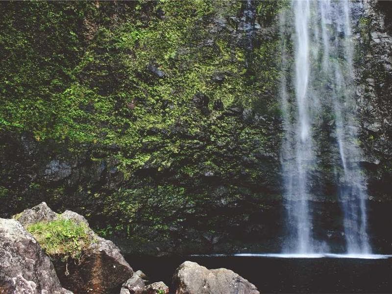 Alto Mayo: Agricultores exportan primer lote de café orgánico a Europa