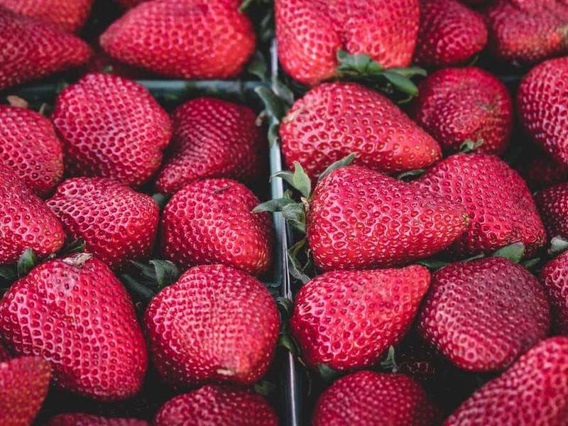 Antena 9 renueva su programación matutina con nuevos talentos