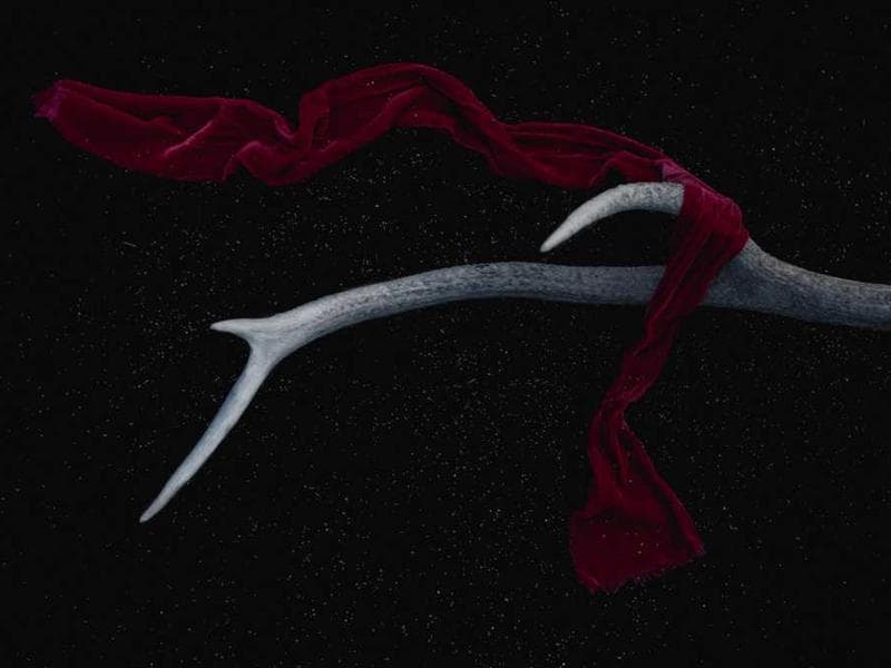 Escolares de Rioja ganan concurso nacional de robótica